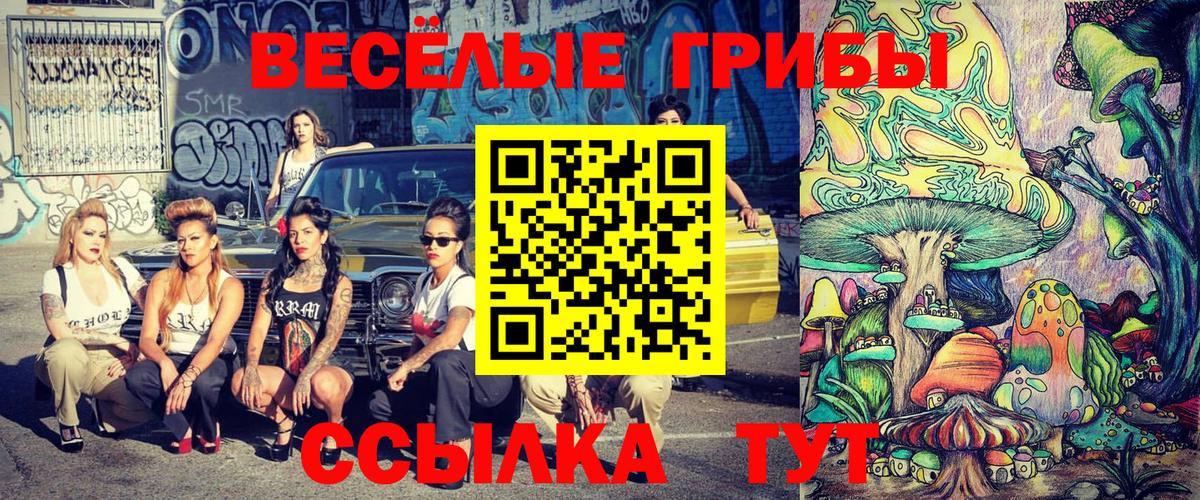 Галлюциногенные грибы Cubensis Лесосибирск